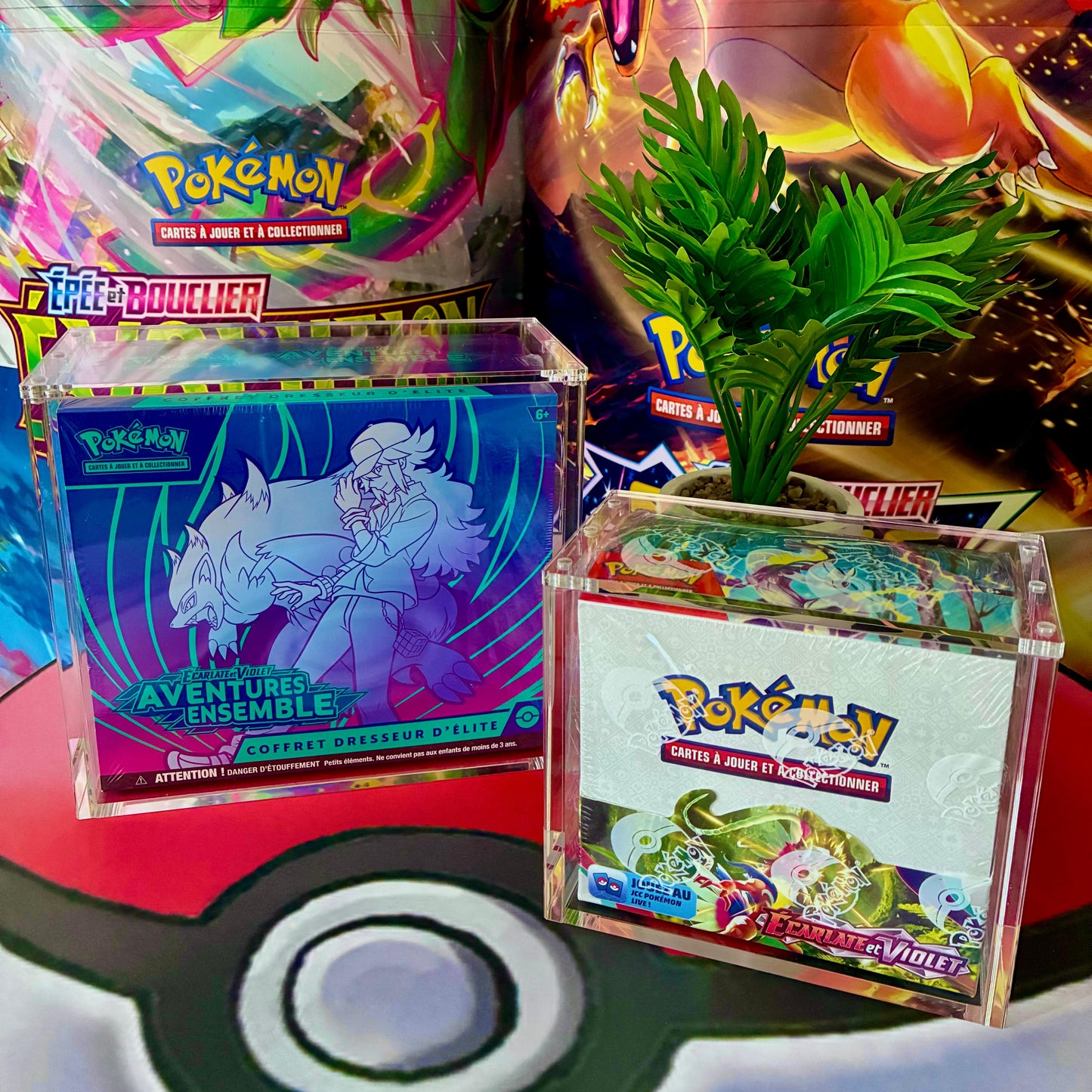 Pack ETB + Display
