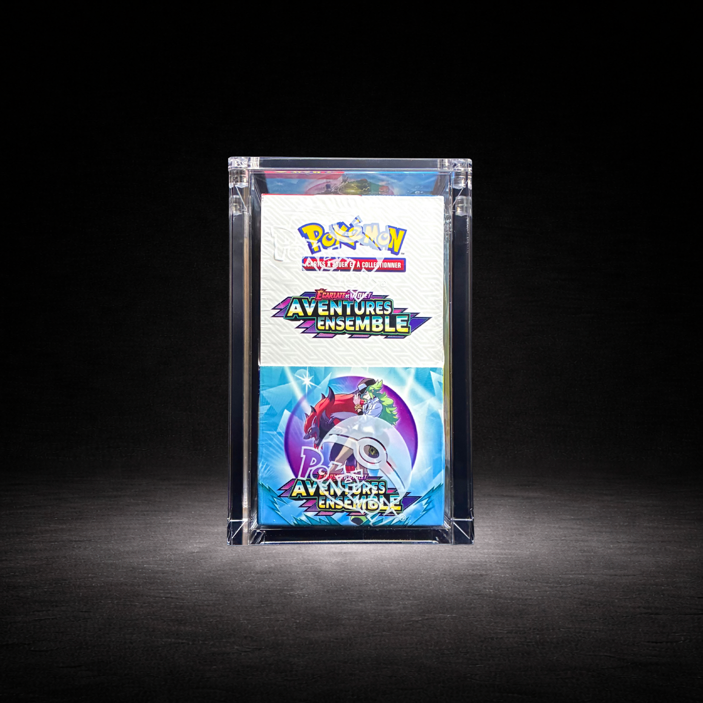 Protection acrylique demi-display pokemon