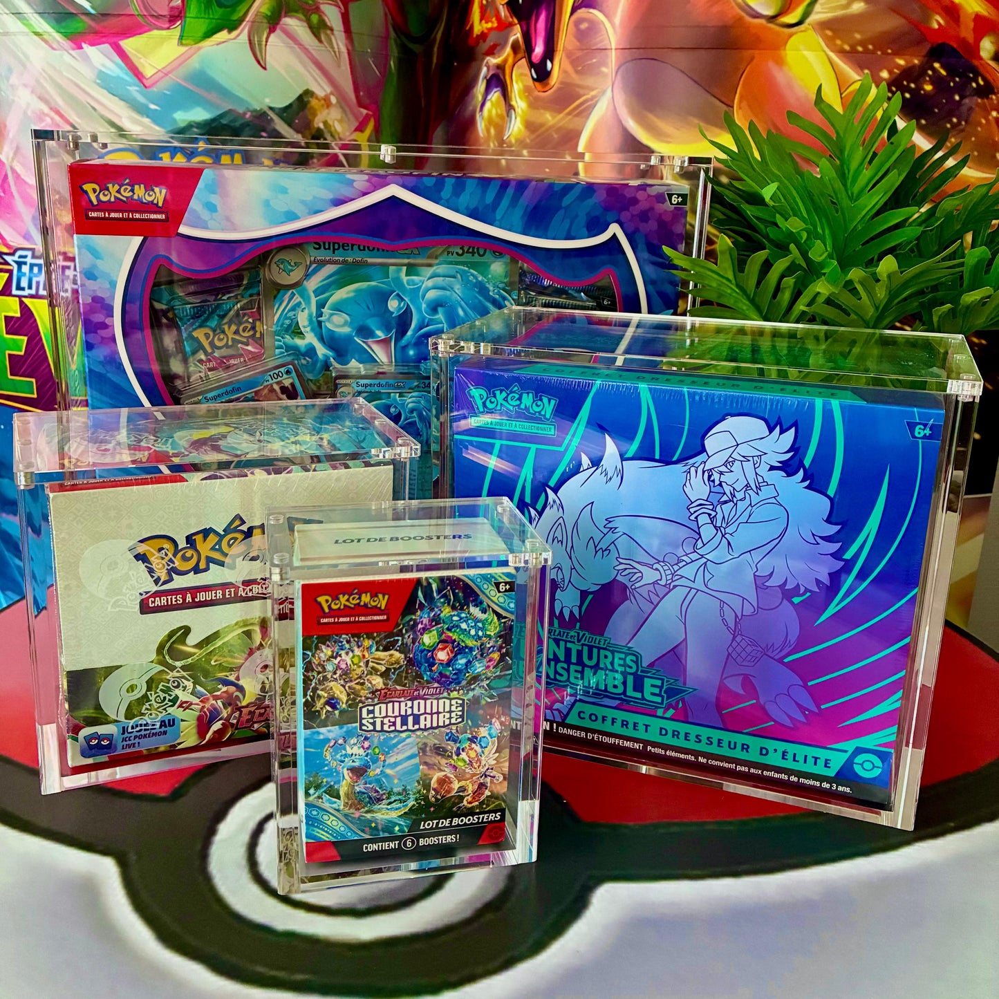 Pack ETB + Display + Coffret + Bundle