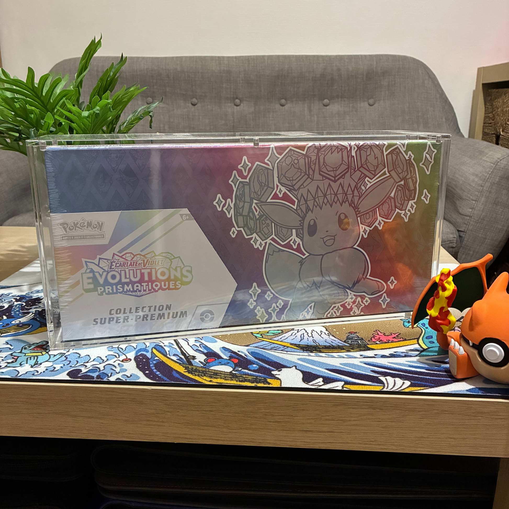 Protections acryliques pour SPC Evoli pokemon