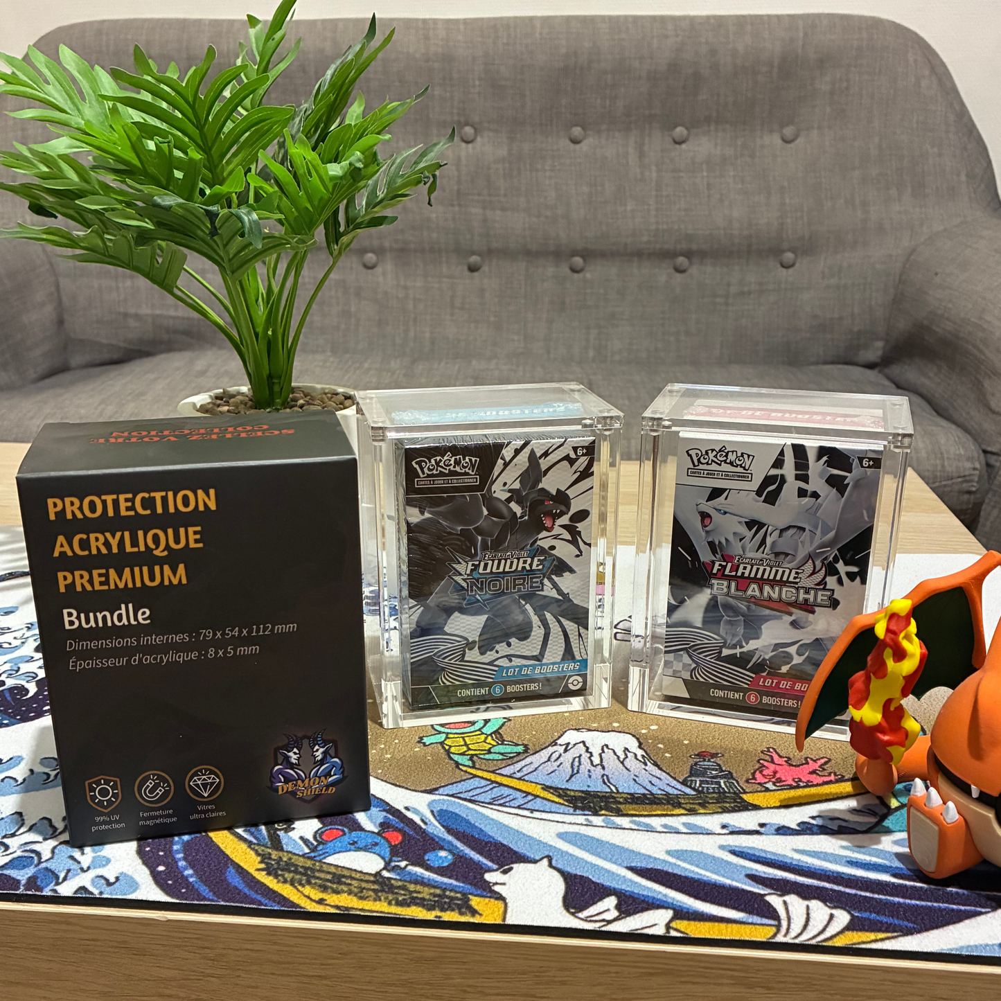 Protections acryliques pour bundle pokemon