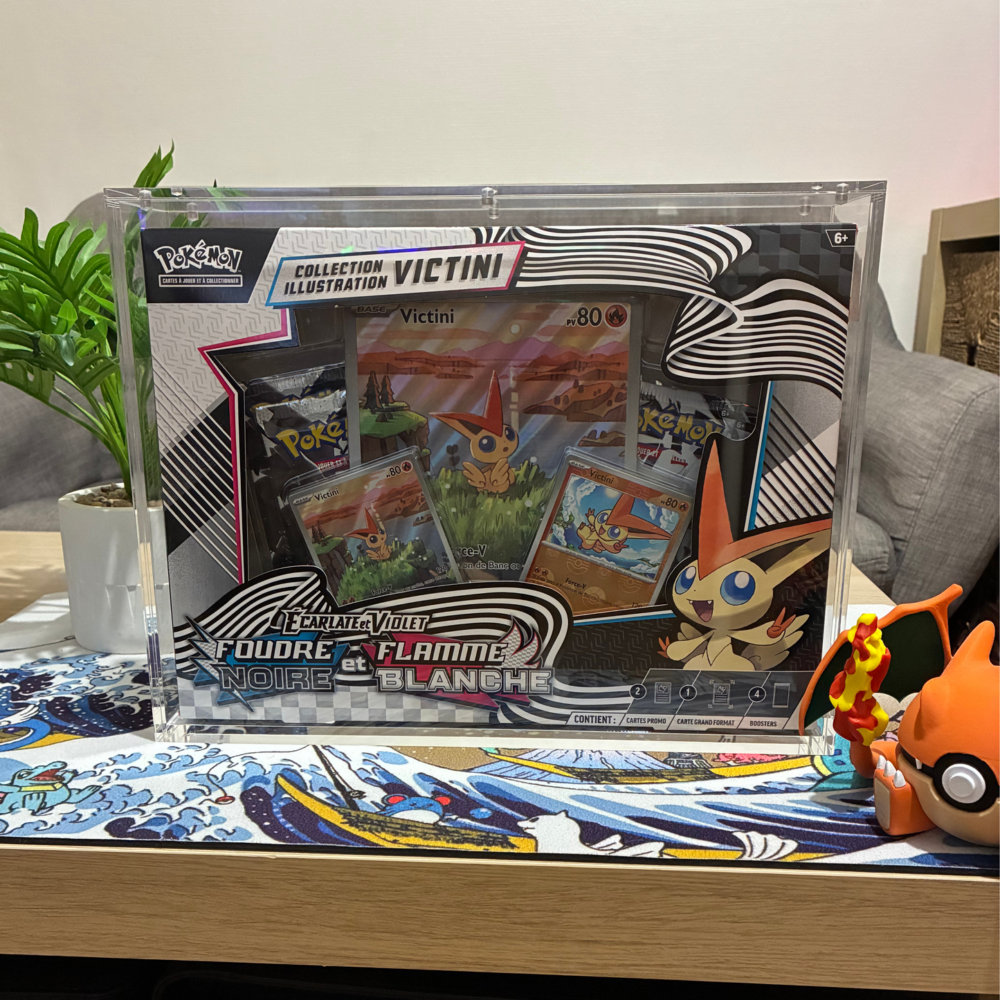 Protections acryliques pour coffret standard pokemon 2