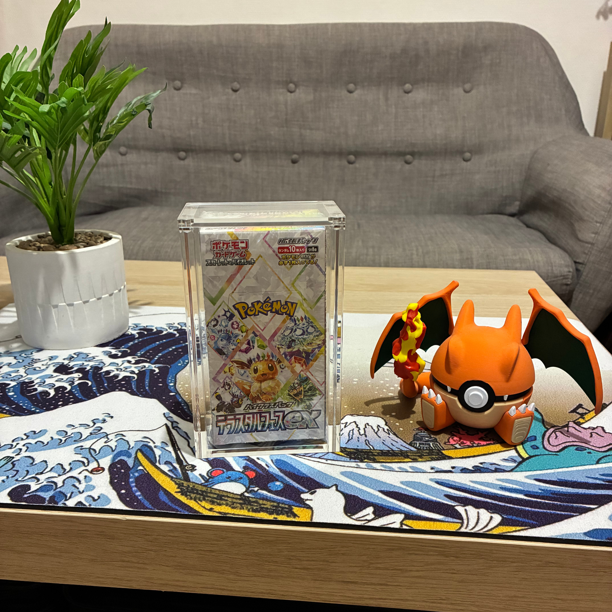 Protections acryliques pour display japonaise premium pokemon